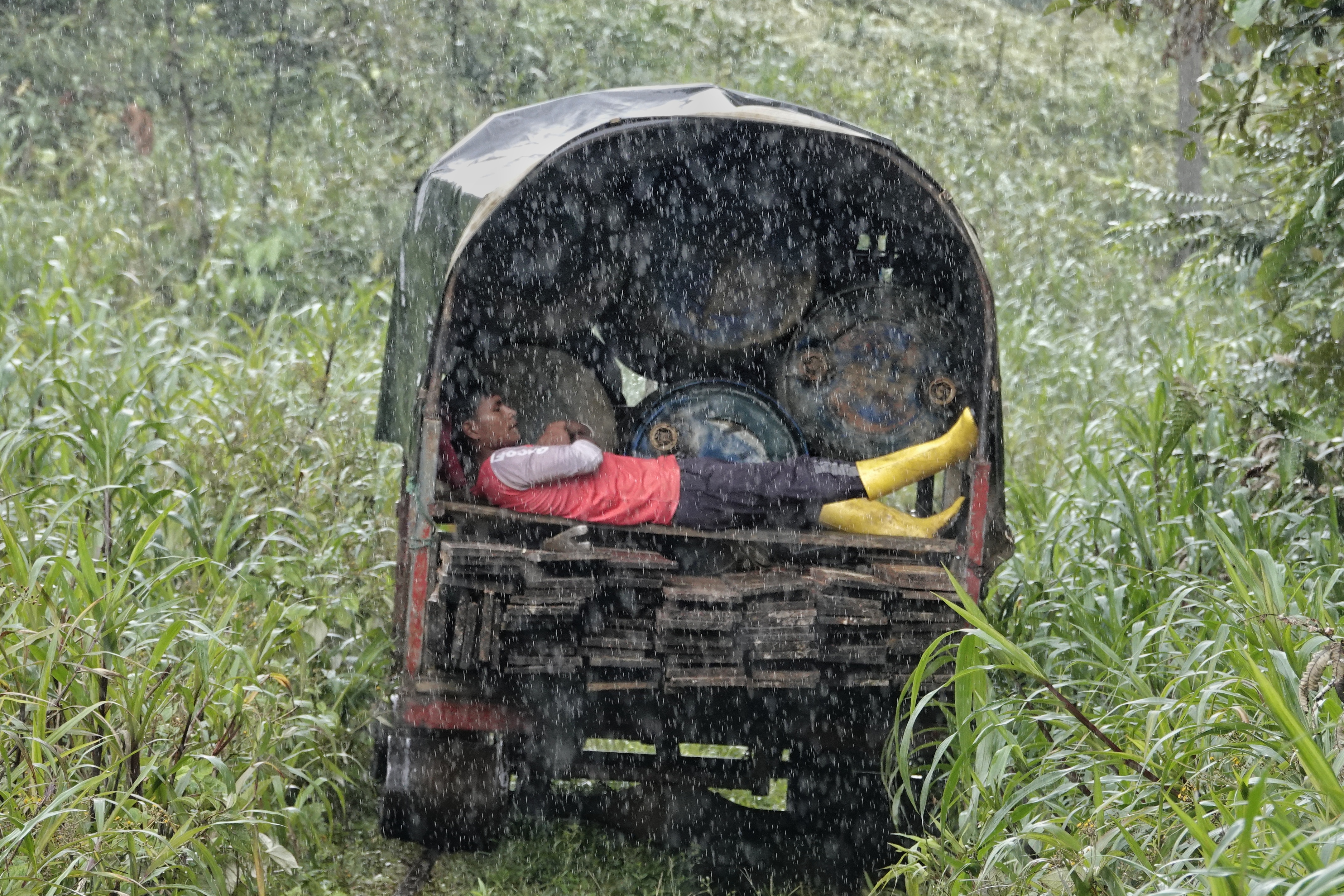 Vieux véhicule dans la forêt sous la pluie